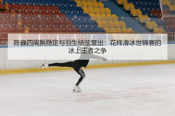 chen-wei-si-zhou-tiao-wen-ding-yu-yu-sheng-jie-xian-fu-chu-hua-yang-hua-bing-shi-jin-sai-de-bing-shang-wang-zhe-zhi-3-981.jpg