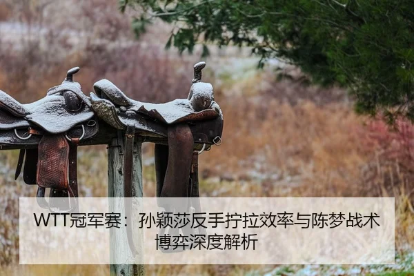 WTT冠军赛：孙颖莎反手拧拉效率与陈梦战术博弈深度解析
