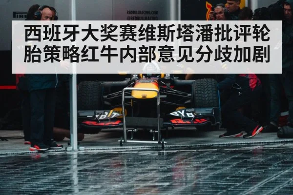 Red Bull racing team